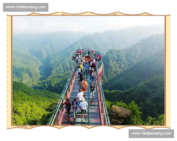 河南摄影艺术盛典精彩瞬呈记录家乡风貌与人文魅力