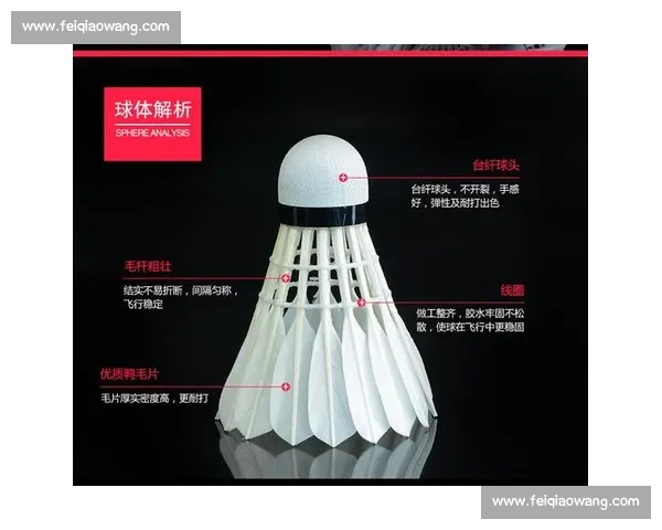 羽毛球比赛规则详解与比赛流程全解析