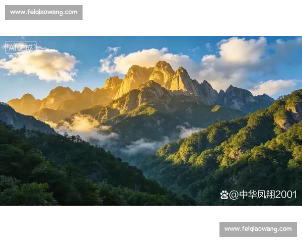 黄山摄影大赛：捕捉大自然之美，展现壮丽山水的无限魅力